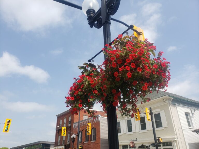 Downtown Kemptville,Old Town Kemptville,Explore Downtown Kemptville